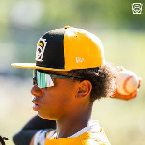 Image post by @littleleague on Instagram