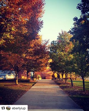 Image post by @iupedu on Instagram