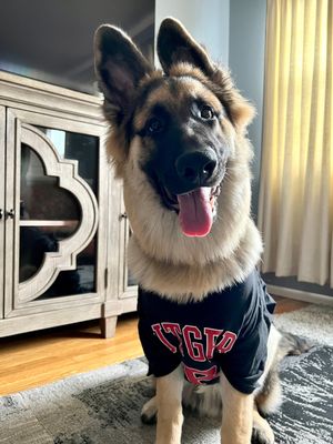 Image post by @rutgersu on Instagram