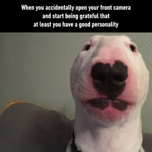 Image post by @9gag on Instagram