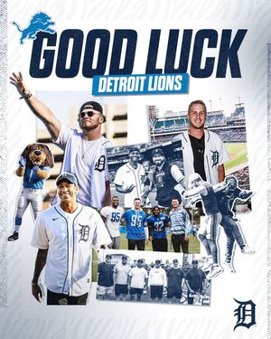 Image post by @tigers on Instagram