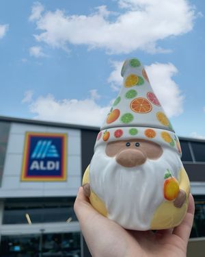 Image post by @aldiusa on Instagram