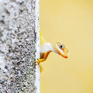 Image post by @discovery on Instagram