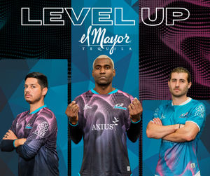 Image post by @stlouisambush on Instagram
