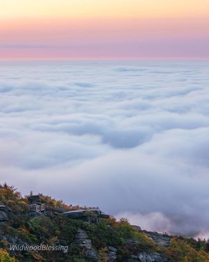 Image post by @nationalparkscollective on Instagram
