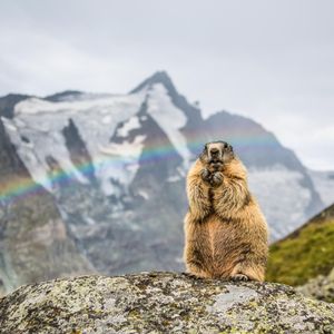 Image post by @discovery on Instagram