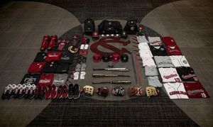 Image post by @gamecockbaseball on Instagram