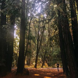 Image post by @ucsc on Instagram