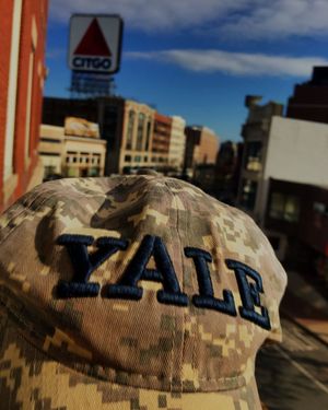 Image post by @yalesoftball on Instagram