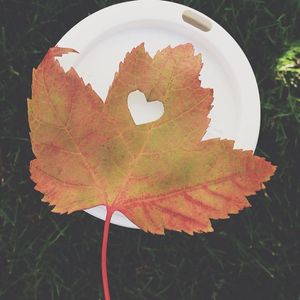 Image post by @starbucks on Instagram