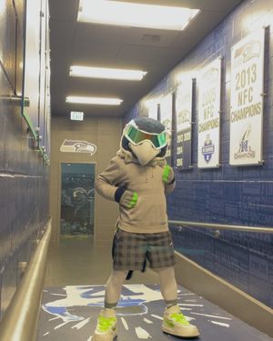 Image post by @blitztheseahawk on Instagram