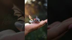Video post by @Ali Aboutine on YouTube