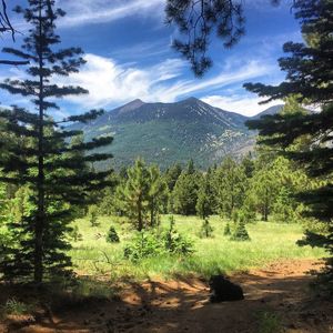 Image post by @nauflagstaff on Instagram