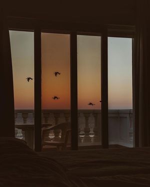 Image post by @fubiz on Instagram