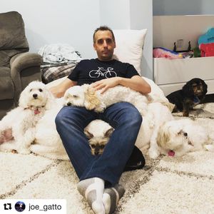 Image post by @impracticaljokersofficial on Instagram