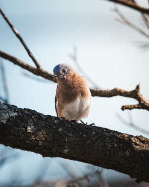 Image post by @nlabrusc on Instagram