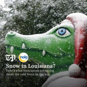 Image post by @nolanews on Instagram