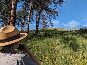Image post by @NatlParkService on Twitter