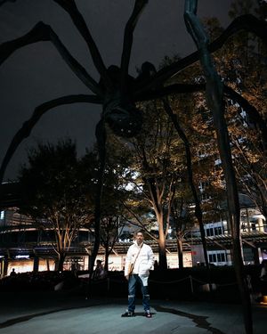Image post by @_dr_woo_ on Instagram