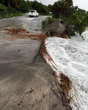 Image post by @cityofveniceflorida on Instagram