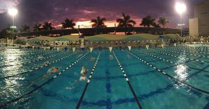 Image post by @ithacaswimdive on Instagram