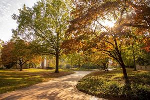 Image post by @uofscalumni on Instagram
