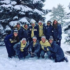 Image post by @gatechsoftball on Instagram