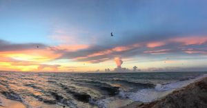 Image post by @canesrowing on Instagram