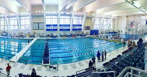 Image post by @dukeswimdive on Instagram