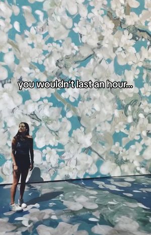 Video post by @kaylenb_13 on TikTok