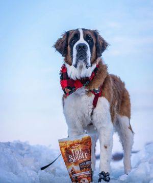 Image post by @triumphpetfood on Instagram