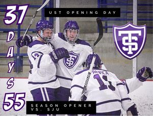Image post by @tommiemhockey on Instagram