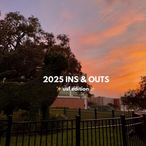 Image post by @usouthflorida on Instagram