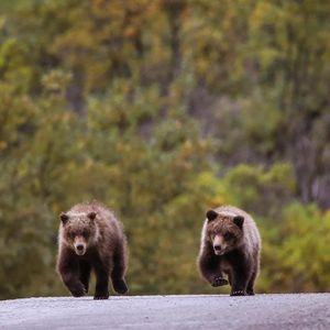 Image post by @nationalparkservice on Instagram