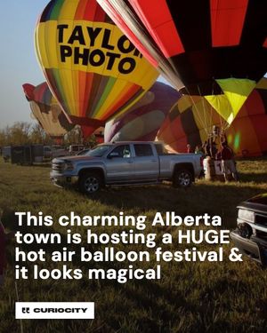 Image post by @curiocitycalgary on Instagram