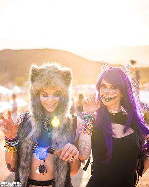 Image post by @nocturnalwland on Instagram