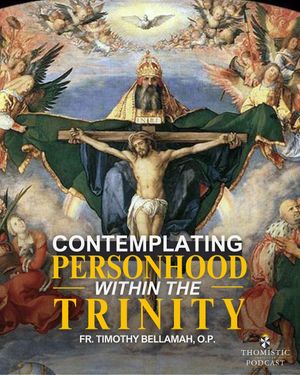 Image post by @thomisticinstitute on Instagram