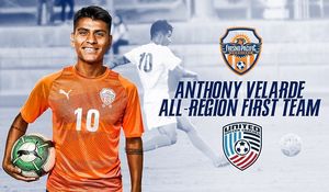 Image post by @fpusunbirds on Instagram