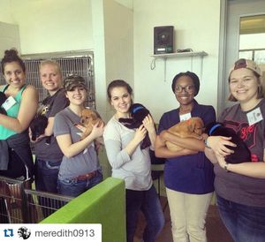 Image post by @studentlifeosu on Instagram