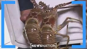 Video post by @newsnation on YouTube