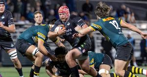Image post by @seawolvesrugby on Instagram