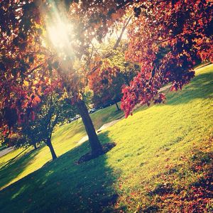 Image post by @williamjewellcollege on Instagram