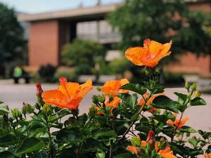 Image post by @olivetnazarene on Instagram