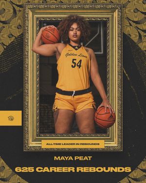 Image post by @uapblionswbb on Instagram