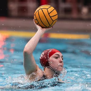 Image post by @indianawpolo on Instagram