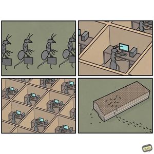 Image post by @9gag on Instagram