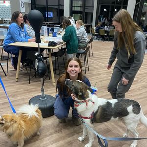 Image post by @butlerufye on Instagram