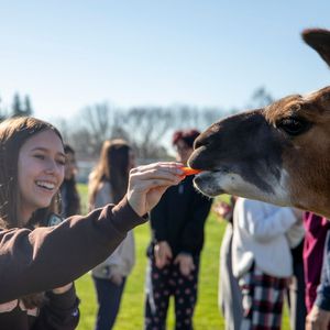 Image post by @sfhs_troubies on Instagram