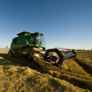 Image post by @lundbergfarms on Instagram