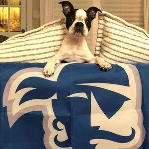 Image post by @setonhall on Instagram